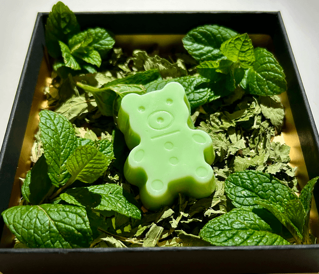 Mini Ourson Eucalyptus Citronné Bio